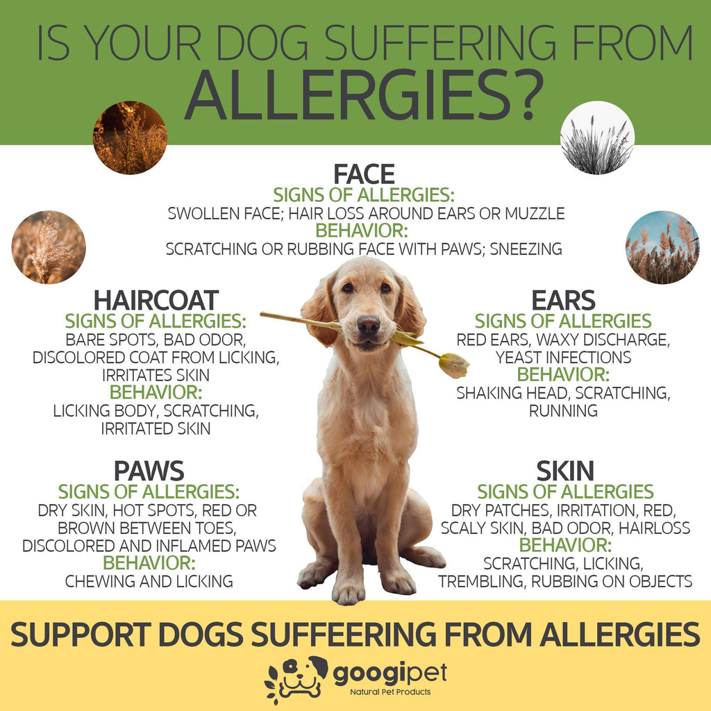 Allergy & Immune Support Chews for Dogs (Peanut Butter Flavor)