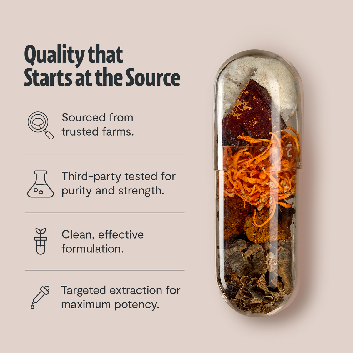 Organic Mushroom Complex Supplement Capsules