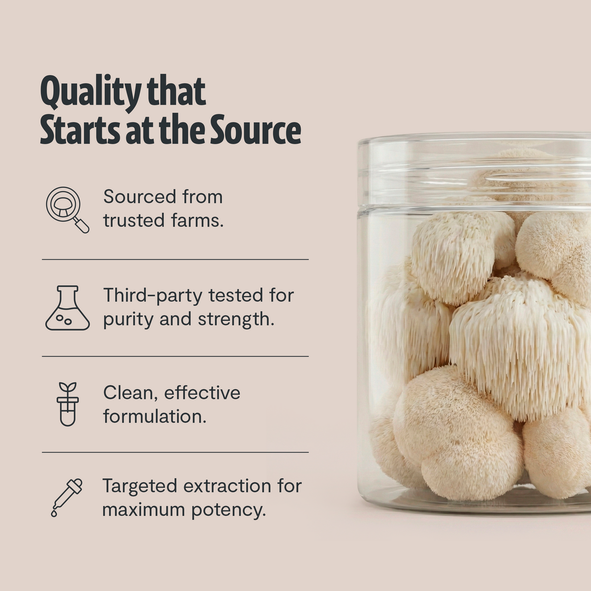 Organic Mushroom Complex Supplement Capsules